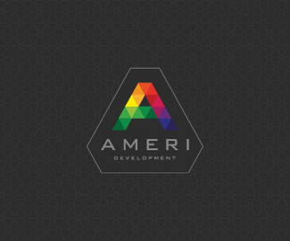 软件开发公司AMERI