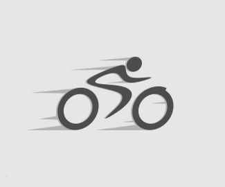 自行车队徽logo
