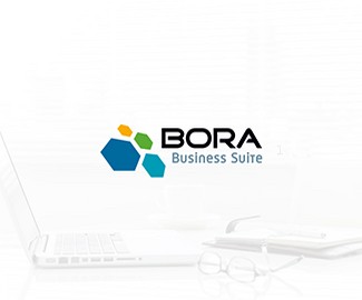 企业资源系统BORA