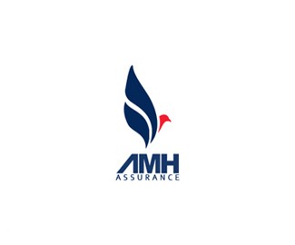 法国保险公司AMH