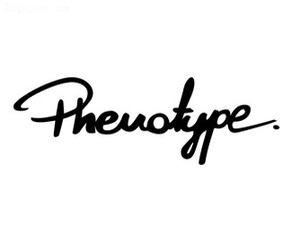 街头服装品牌字体设计Phenotype